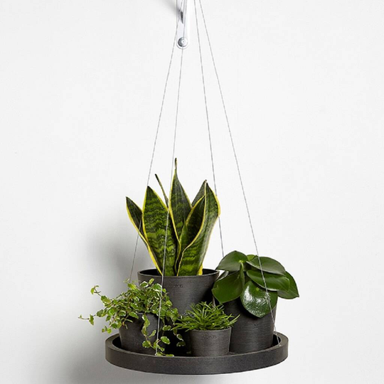 Ecopots Hanging Saucer Made From Recycled Plastic