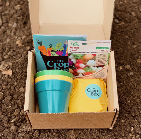 Grow Your Own Radish Kit For Children