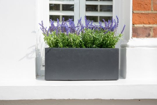 Small Window Box In Amalfi Black
