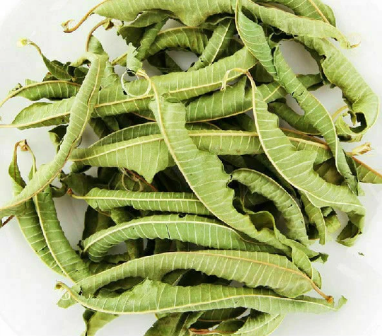Lemon Verbena Dried Leaves Greek Werbena Cytrynowa Aloysia Citrodora Herbal Tea
