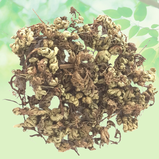 Laxmana Booti-Sanjeevni-Sanjivni Booti-Raw Herbs-Single Herbs-Jadi Booti