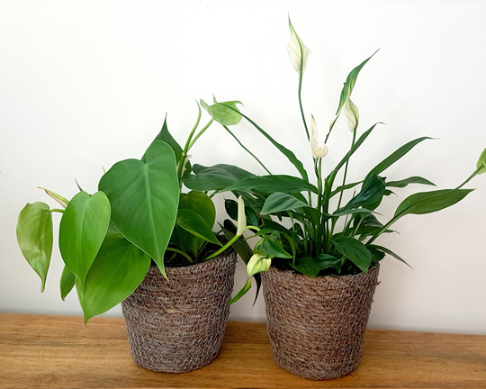 Woven Basket Decorative Planter, Indoor Plant Pot Waterproof Lined