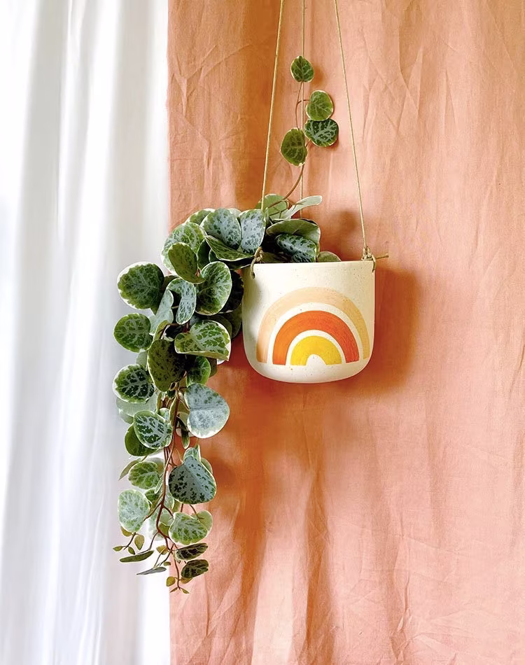 Boho Rainbow Hanging Planter Pot For Succulents & Plants | Succulent Home Decor Valentines Day Gift