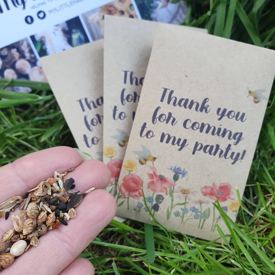 Wildflower Seed Packet X 10 Thank You For Coming To My Party | Pollinators Bees Butterflies Bee Kind Party Favour Save The Bees