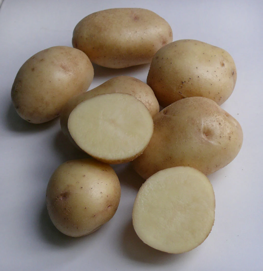 Potato Milena Seeds