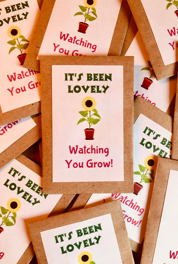 End Of Term Gift For Class Sunflower Seeds Kit Kids - It's Been Lovely Watching You Grow 10 Packs