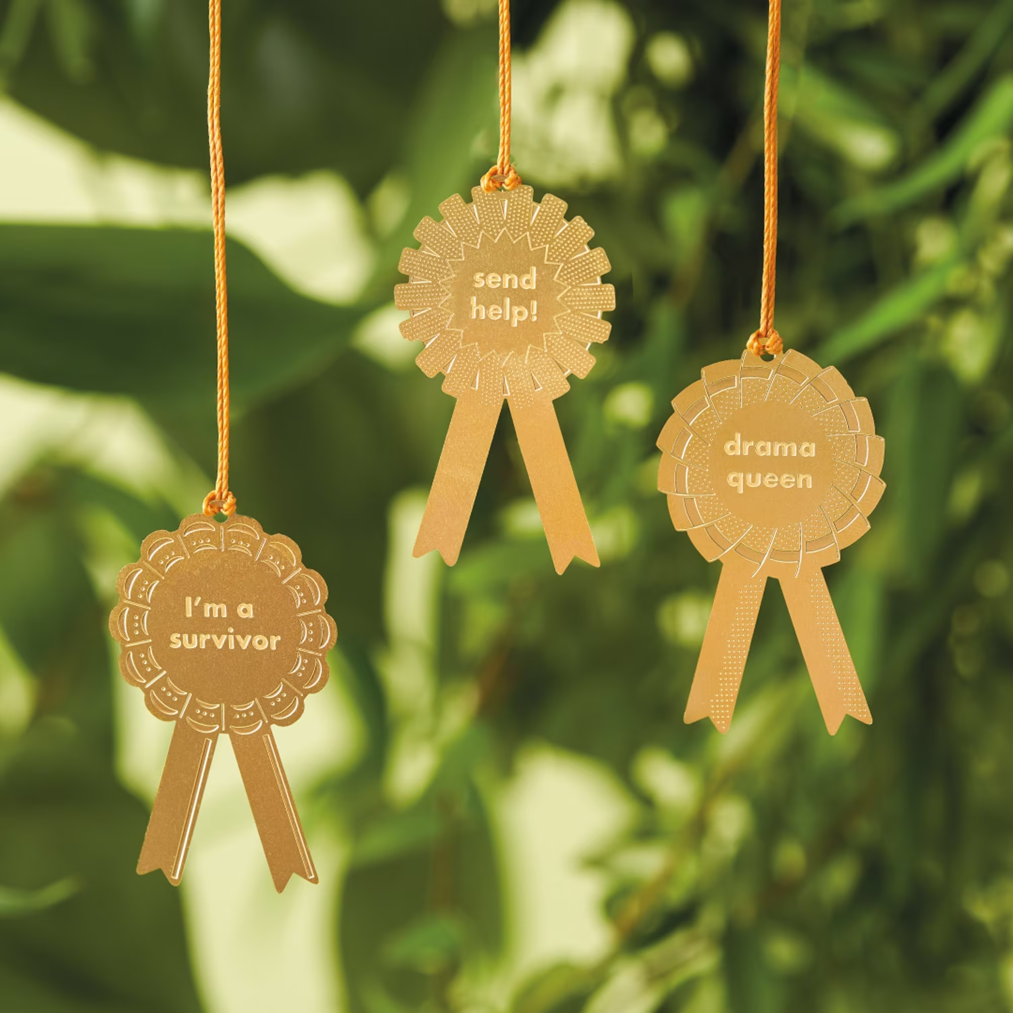 Houseplant Awards To Celebrate Your Plant's Progress, Problems & Personality Traits