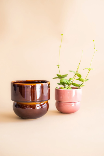 Set Of 2 Flower Pots, Small & Large Pot, Mini Succulent Cactus Planter, Honey & Rose, Minimalist Pot Pottery
