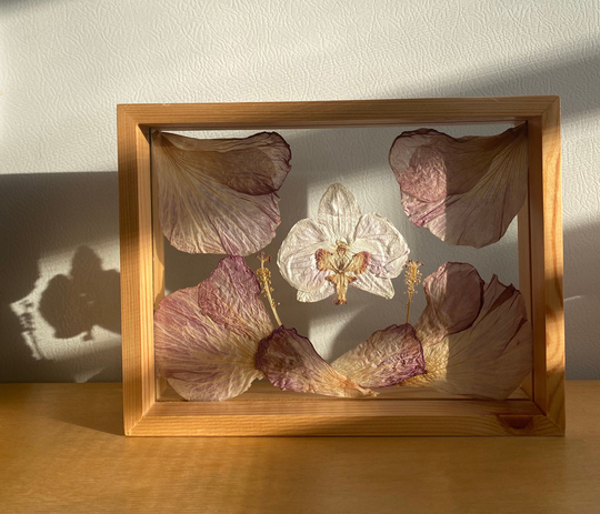 Hibiscus & Orchid Pressed Flowers Wall Decor | Dried in Glass Frame Framed Botanical Art With Real Foliage
