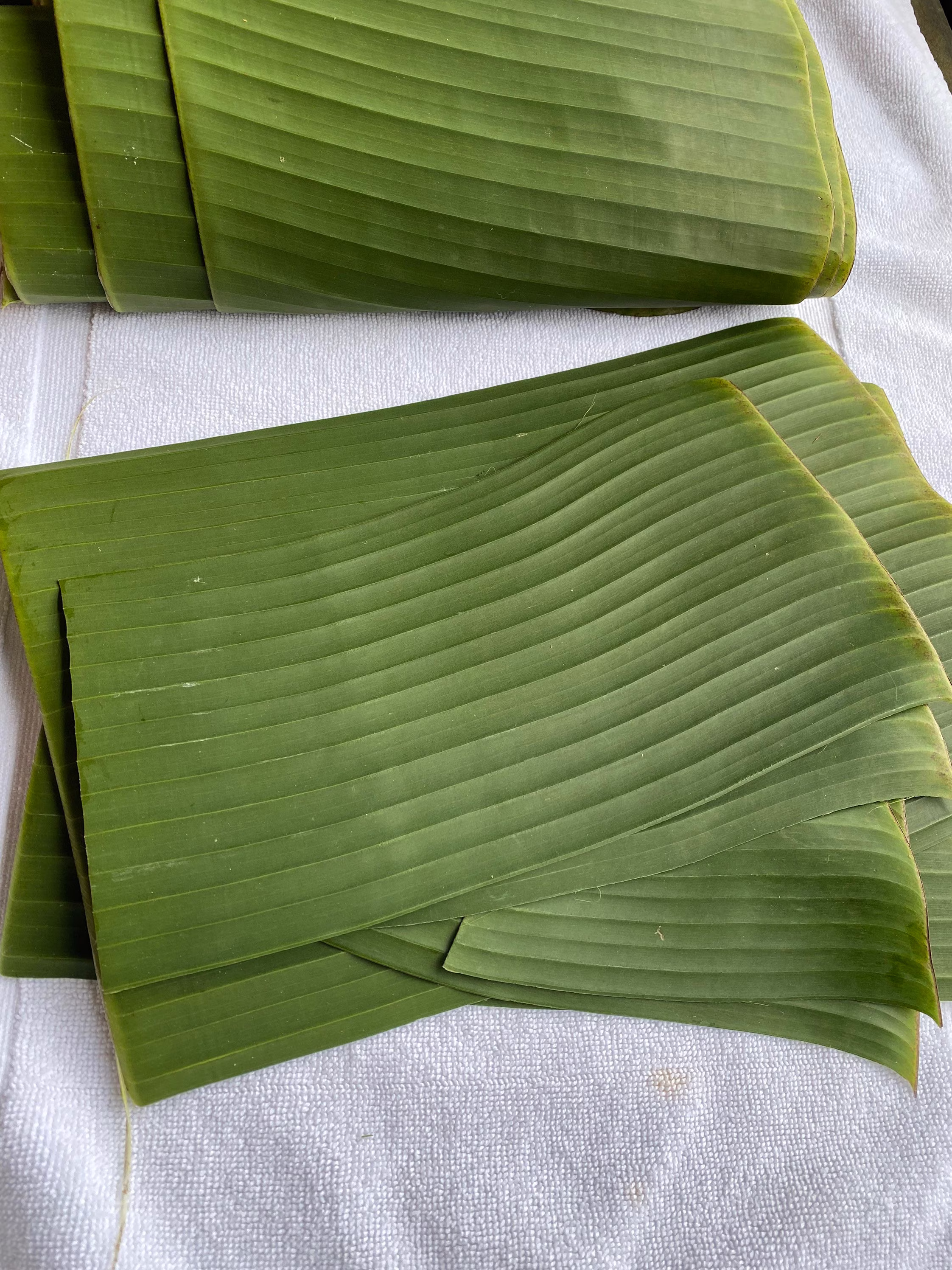 Banana Leaves