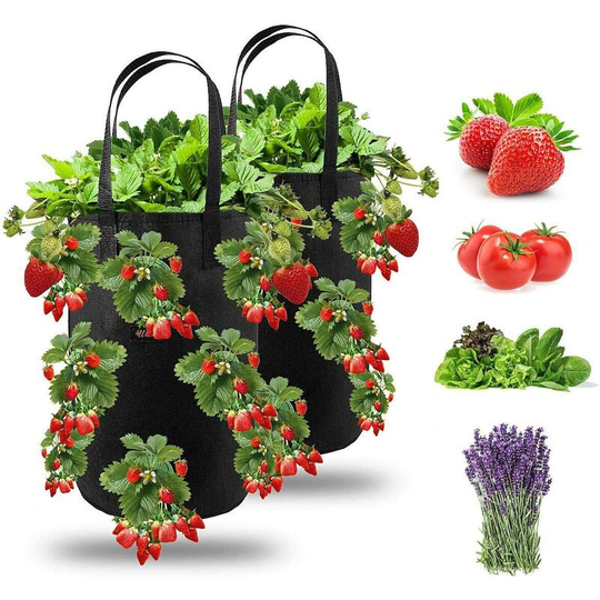 Betterlifegb - 2pcs Strawberry Planting Bag, Betterlife Hanging Strawberry Grow Bags Garden with 13 Holes, Planting Bag for Strawberries, Herbs,