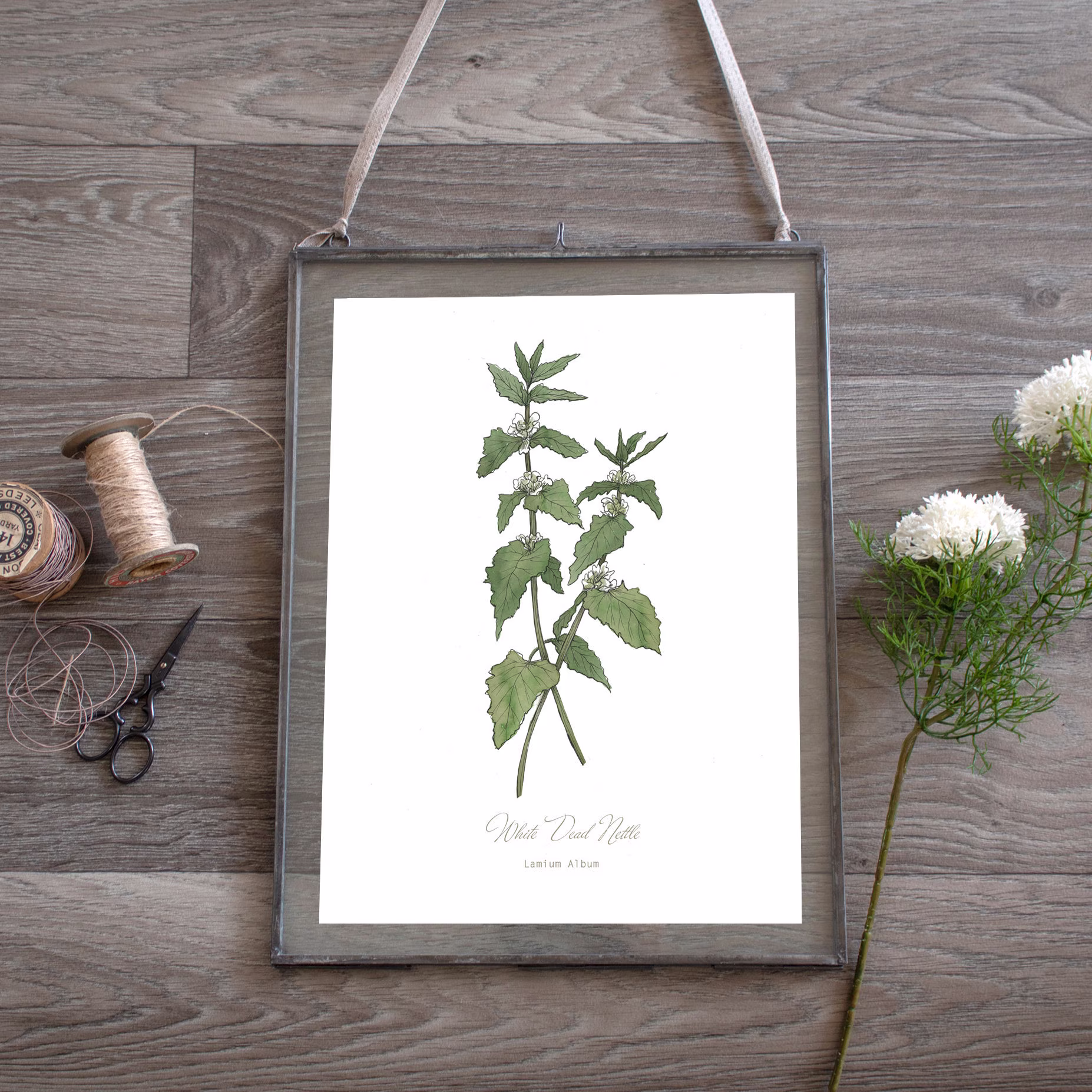 stinging Nettle Herb Botanical Print, Watercolour Wild Plant Illustration, Wall Art