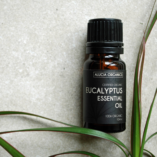 Organic Eucalyptus Essential Oil