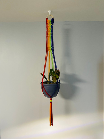 Rainbow Macrame Plant Hanger/ Pride Long Bohemian Hanger