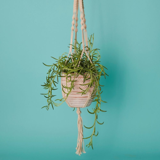 Bangladesh Medium Rustic Terracotta Pot & Macrame Hanging Set