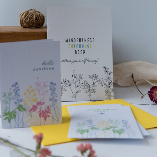 Mindfullness Mini Colouring Book, And Wildflower Seeds