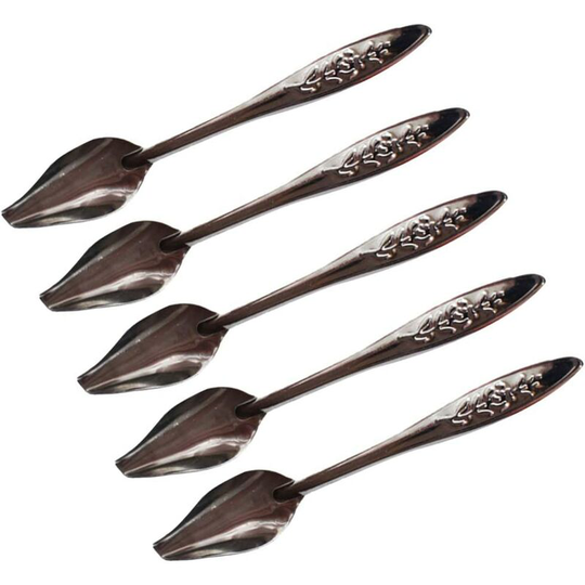 Echoo - 5pcs Bird Parrot Feeding Spoons Stainless Steel Feeding Scoops Medicine Feeding Accessories