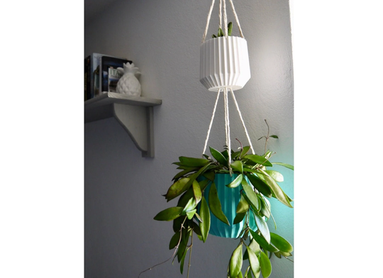 Every Colour Hanging Plant Pot Set - Space Saving Based Plastic 3D Printed Planter Striped Eco Friendly Gift Present