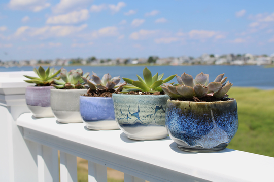 Succulent Planter, Green Blue Grey Purple Ceramic Small Pot For Flowers, Heart Bowl Jewelry, Ring