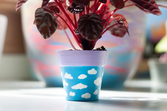 Mini Hand Painted Bamboo Plant Pot | Cloud Spring Decor