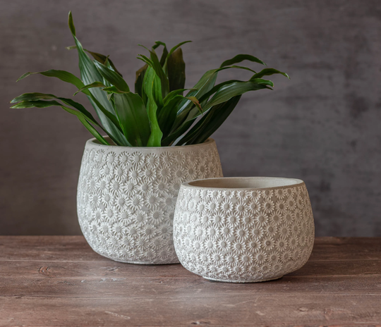 Daisy Pattern Concrete Planters, Rustic Plant Pots, Indoor Planters