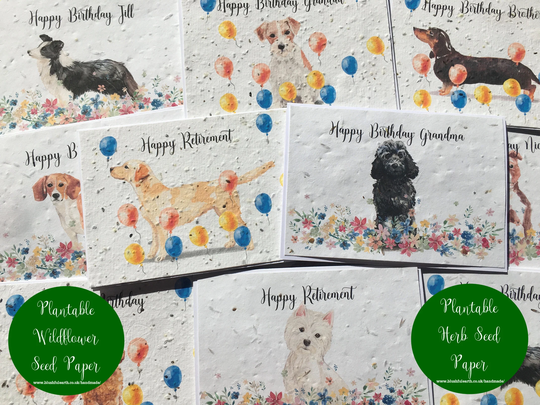 Plantable Greetings Card, Wildflower Or Herb Seed Paper Attached To Recycled White Personalised Dog Card