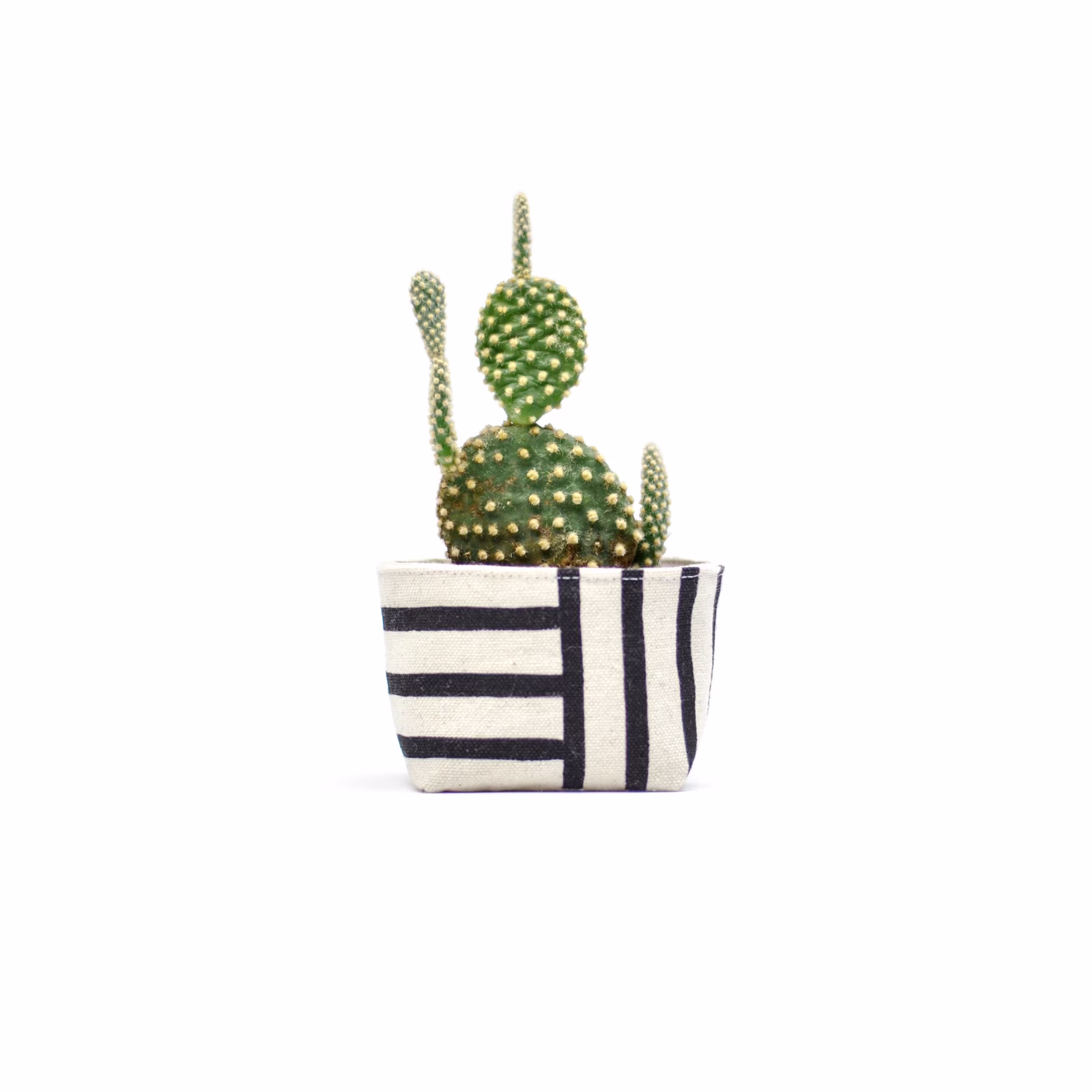 Canvas Planter, Two Way Black Stripe For Succulents & Cacti, Mini White Blockprint On Bucket