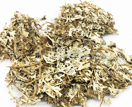 Dried Organic Iceland Moss/Available From 2Oz-32Oz Cetraria Islandica
