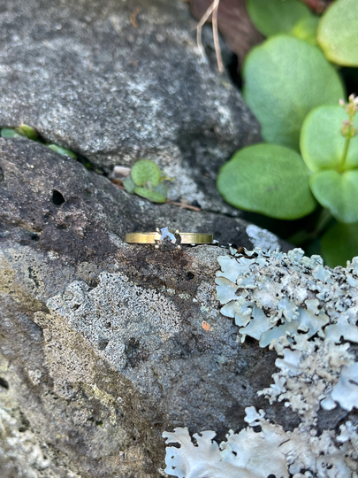 Salt & Pepper Diamond 14K Gold Ring, Grey Wedding Engagement Alternative Bride