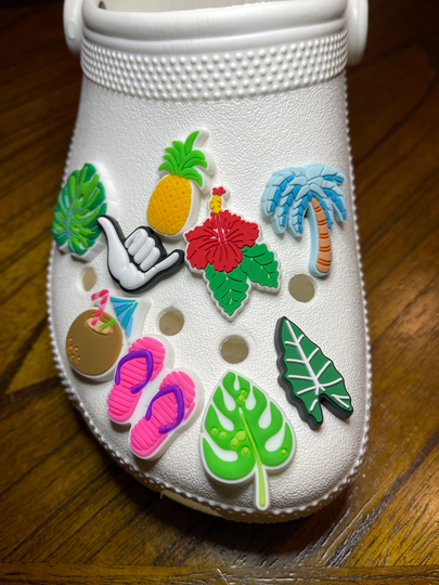 Shoe Charms, Cute Hawaii Set
