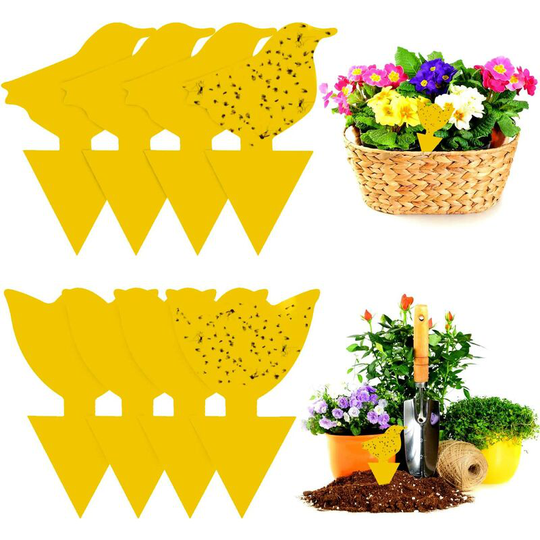 Insect Traps, Mosquito Fly Trap, Fruit Fly Trap, Plug-in Fly Trap, Sticky Insect Traps, for Garden Plant Flower Fruit Protection (48 Pieces)