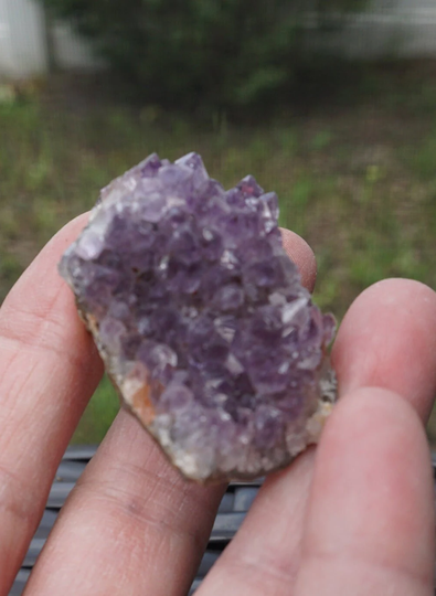 Amethyst Geode #416 | Crystals Deep Purple Gemstone Chakra Stones Wicca Witchcraft Collectable Metaphysical
