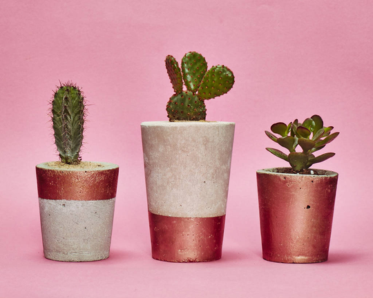 Set Of Three Copper Concrete Pots W/Cacti