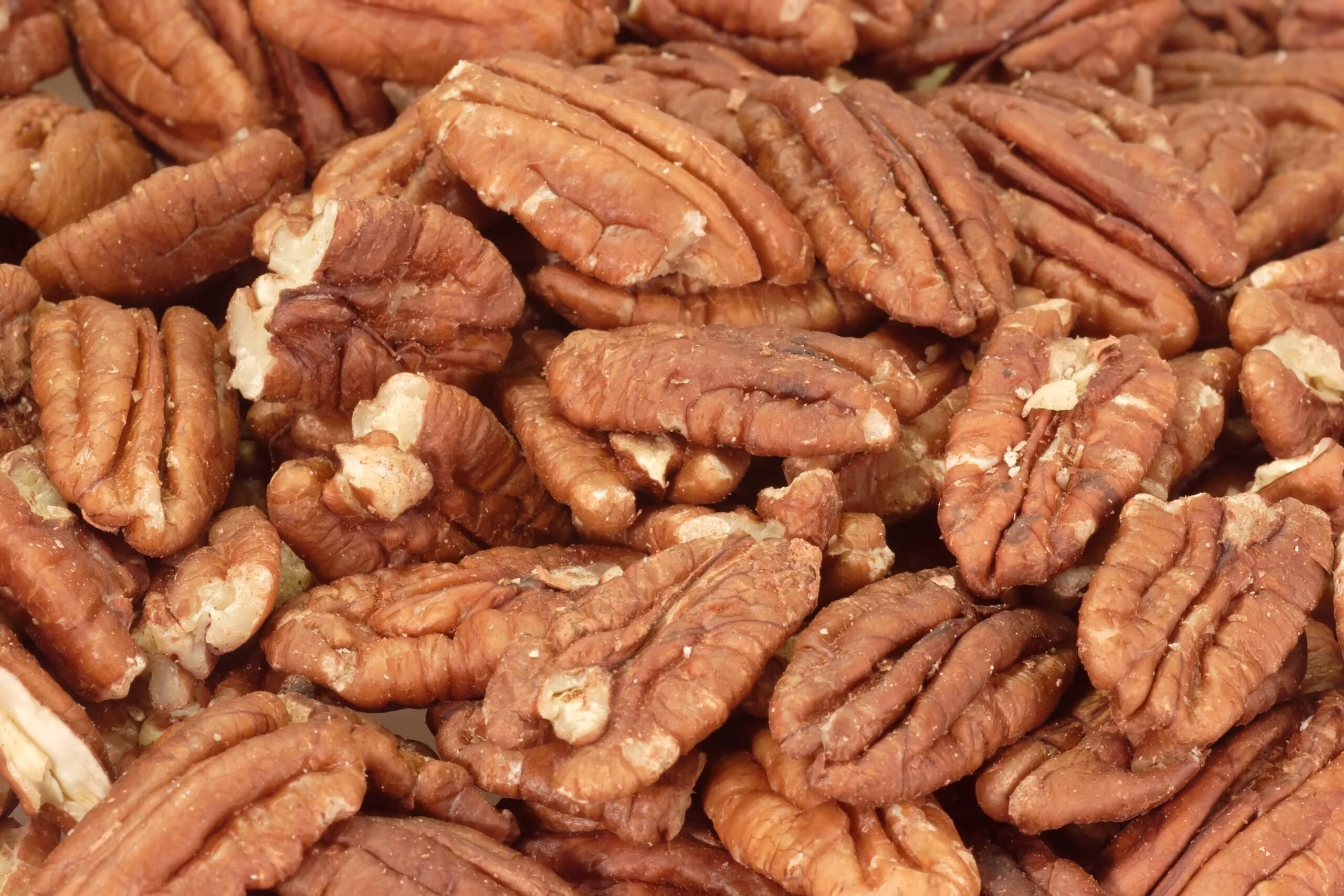 Raw Pecans Natural Pecan Halves Extra Fresh Organic Healthy No Shell Bulk