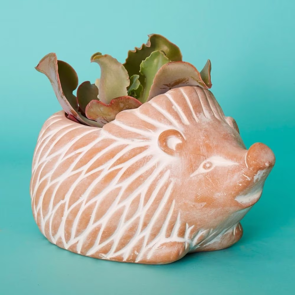 Bangladesh Large Rustic Terracotta Hedgehog Succulent Planter