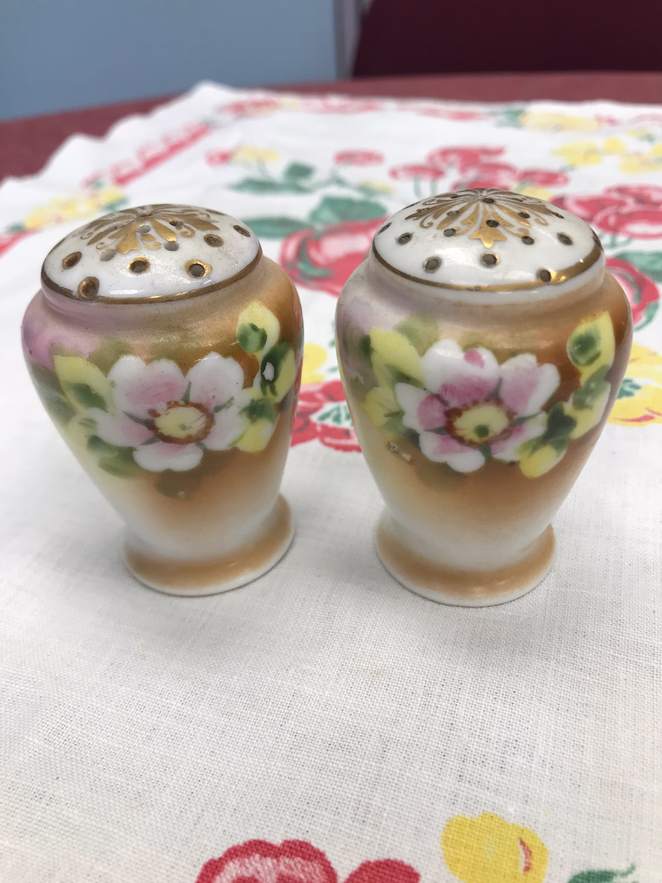 Vintage Nippon Hand Painted Salt & Pepper Shaker Set