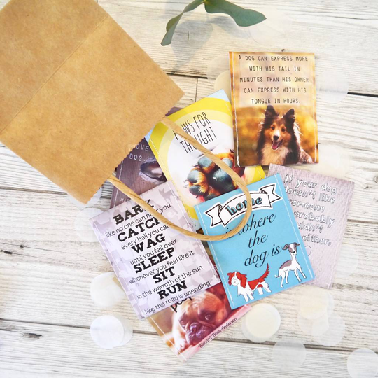 Dog Lovers Tea Gift Set