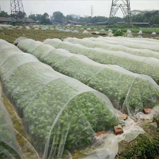 Garden net, mesh net insect mosquito net, garden bird net, pest barrier to protect garden plants and fruits from birds and insects, garden bird net