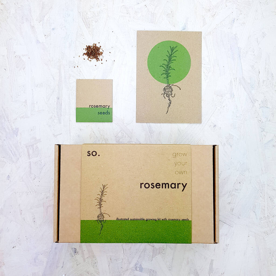 Grow Your Own Rosemary Herb Plant