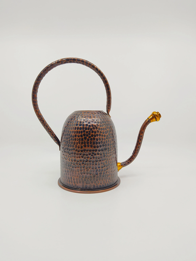 Copper Watering Can, Mini Indoor Plant Small Flower Long Spout Can