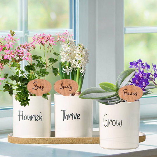 Personalised Three Ceramic Flower Planters