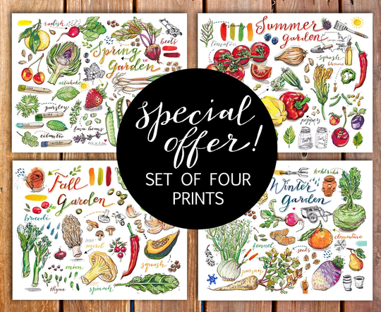 Garden Prints. Gardening. Art. Discount. Food Gift For Gardener. Seasons. Kitchen Decor. Fruit. Vegetables. Illustration