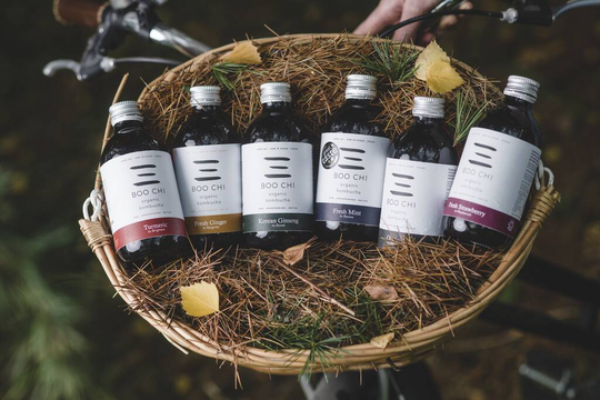 Organic Kombucha Mixed Pack