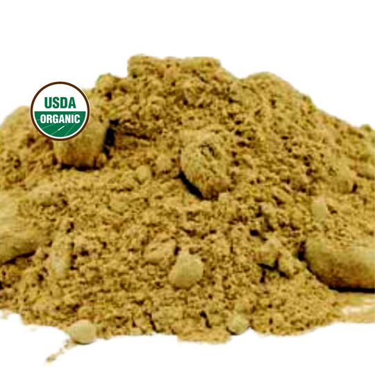 Angelica Root Powder, Organic Bulk | Archangelica Officinalis