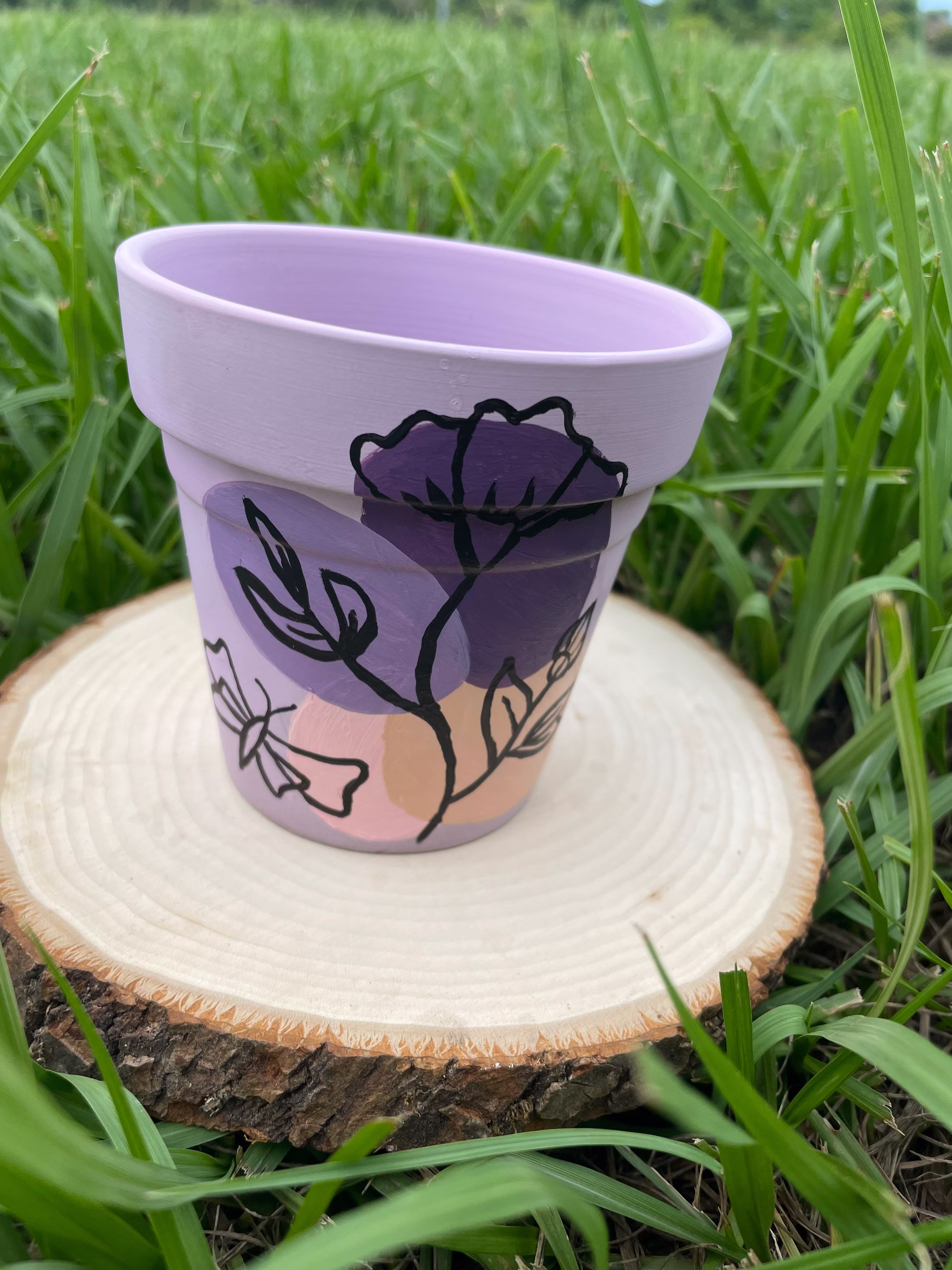 Hand Painted Pot & A Seed Packet Of Your Choice