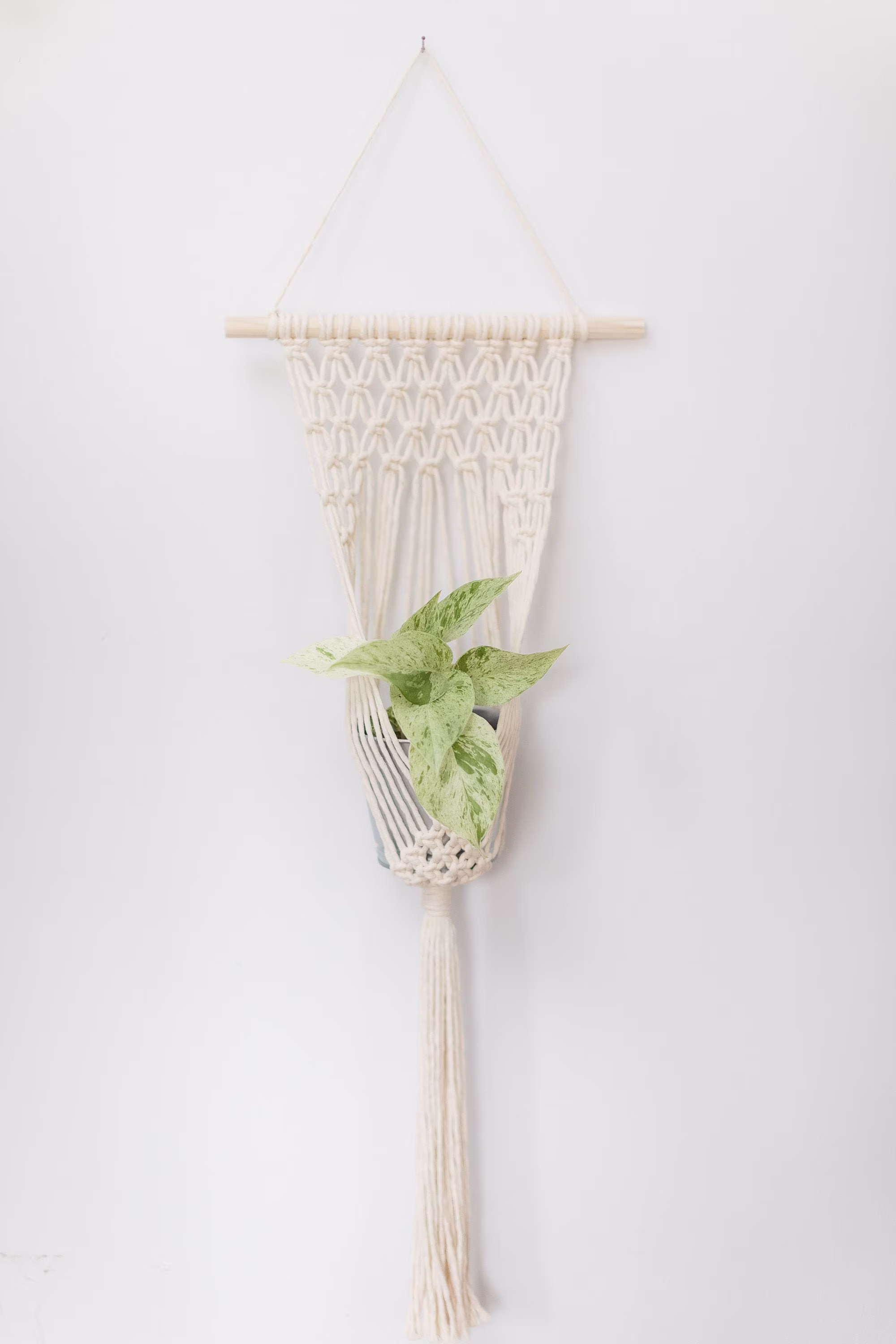 Wall Plant Hanger, Macrame House Plant, Boho Decor, Macrame Wall Hanger, Plant Medium Hanger