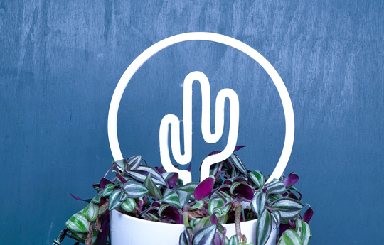 Indoor Garden Plant Trellis For Climbing Plants. Eco-Friendly 3D Printed Accessories. Plant Support Vining Indoor Houseplants