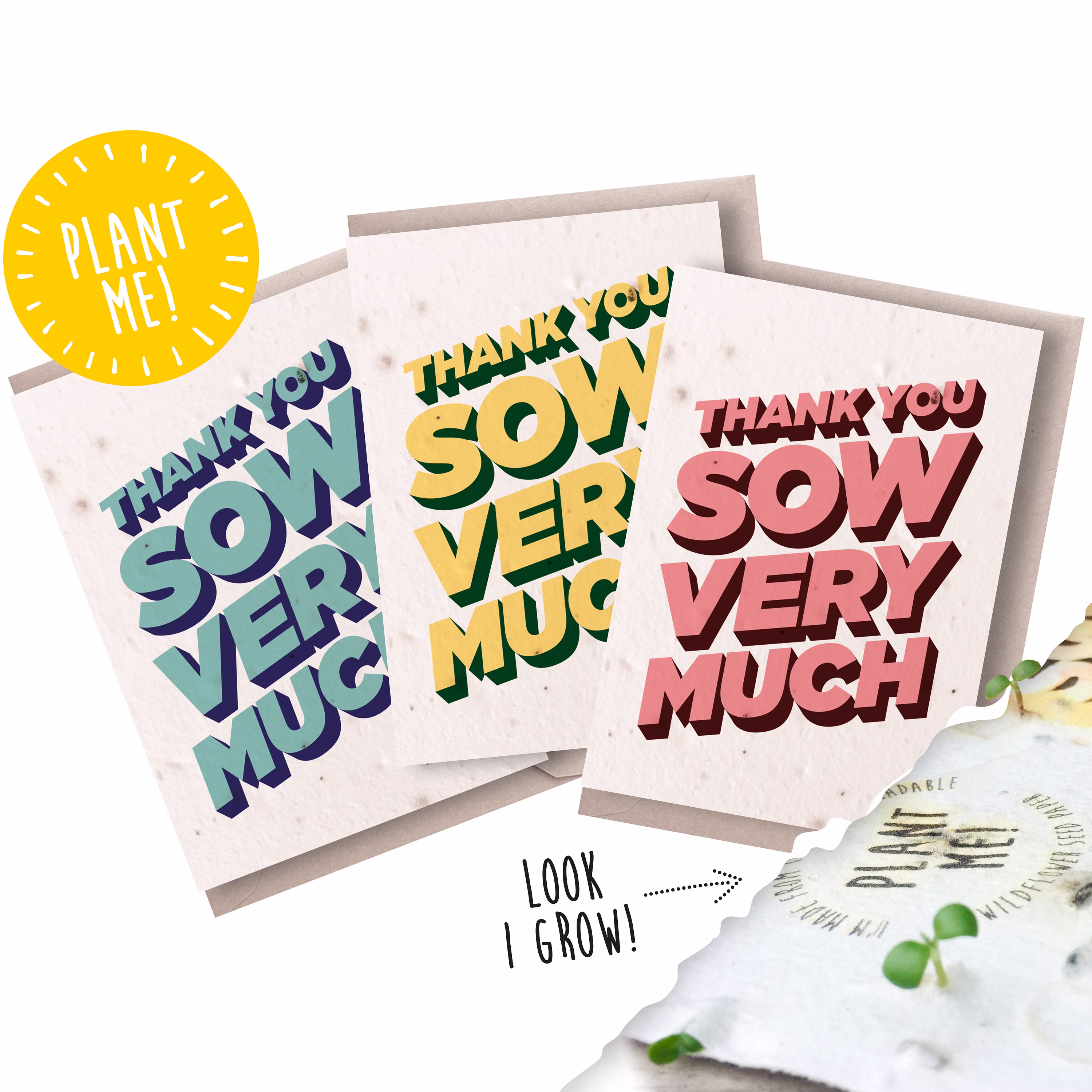 Seed Paper Notecards/Thank You Plantable Notecard Set 100% British Wildflowers Seedlings Guaranteed