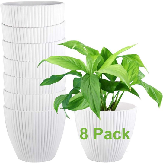 8 Pack Plastic Pots for Plants, 6 Inch White Planters for Indoor Plants, Small Flower Pots for Plant Hanger, Succulents, Herbs, Little Snake Plants,