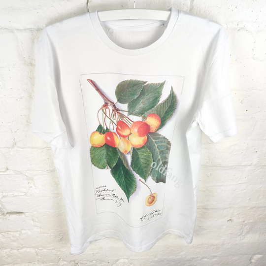 Cherry | Rockport | 1913 - Unisex Organic T-Shirt, Vintage Style Botany T-Shirt